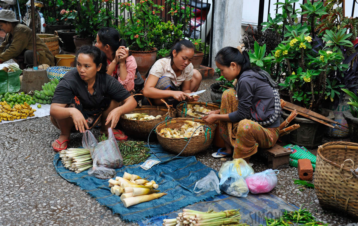 Luang Prabang [50 mm, 1/125 Sek. bei f / 4.5, ISO 1000]